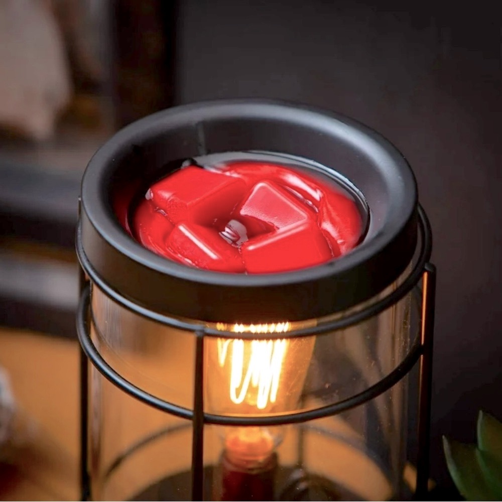 Hand Poured Soy Wax Melts (Pack of 4)